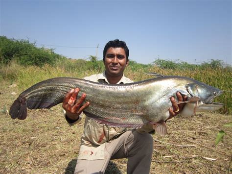 Deccan Angler-Latest fishing reports | Fishing trips | Fishing tackle | Fishing advise ...