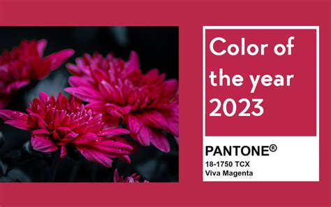 Pantone Color of the Year 2023: Viva Magenta - Tarrago