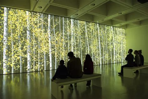 Hayward Gallery Takes Us Back To Nature In A Tree-mendous Exhibition ...