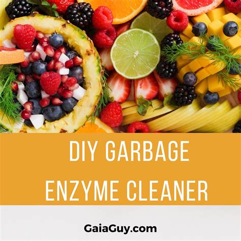 DIY Garbage Enzyme Cleaner: Create Your Eco-Friendly Natural Cleaning – Gaia Guy