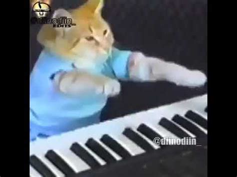 Cat playing piano meme - YouTube