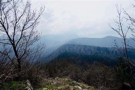 Hiking Tampa Mountain for the best view in Brasov | See Nic Wander