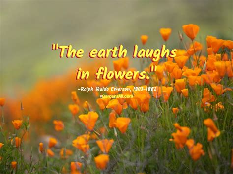 Beautiful Flower Quotes for Inspiration and Reflection on Nature's Gifts - GardensAll