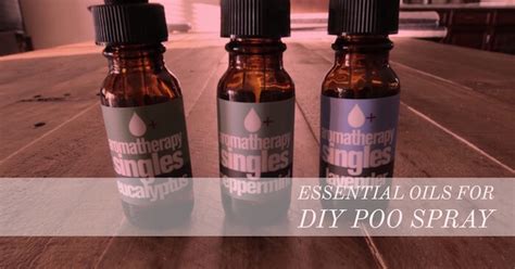 Poo Pourri Ingredients List - 4 Simple Ingredients to Make Poo Pourri