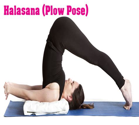 Halasana (Plow Pose) – How to do and Benefits - Healthy Sheet