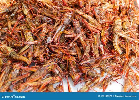 Fried Insects - Grasshopper Insect Crispy, Thai Food Stock Photo - Image of chapulines, energy ...