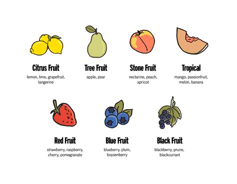 Fruit Flavours in Wine Explained - Wine 101 | Good Pair Days