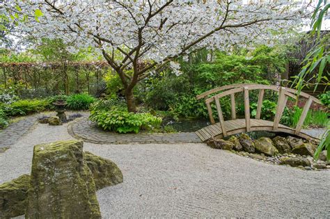 Zen garden ideas: 11 ways to create a calming, Japanese-inspired landscape | Gardeningetc