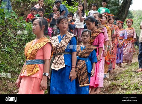 traditional funeral ceremony in Tana toraja sulawesi,indonesia Stock ...