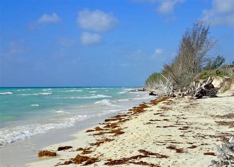 Freeport, Bahamas 2024: Best Places to Visit - Tripadvisor