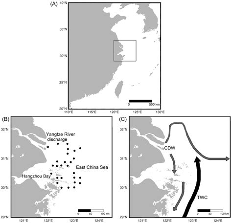 Benthic community history in the Changjiang (Yangtze River) mega-delta ...