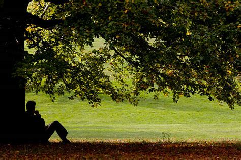 Sitting Under A Tree Pictures, Images and Stock Photos - iStock