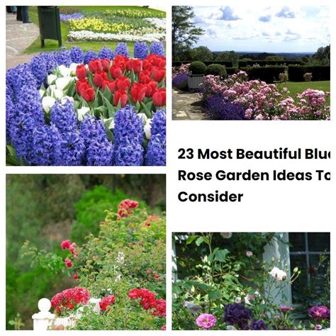 23 Most Beautiful Blue Rose Garden Ideas To Consider | SharonSable