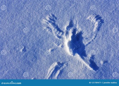 Snow angel stock image. Image of perfect, leaves, snow - 121789471