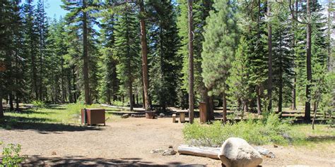 Donner Memorial State Park Campground - camping in California