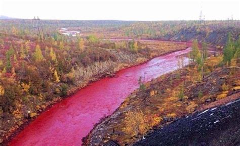 This river that pollution turned red in Norilsk, Russia : r/oddlyterrifying