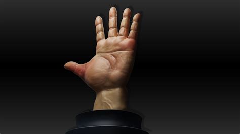 Male hand - Finished Projects - Blender Artists Community