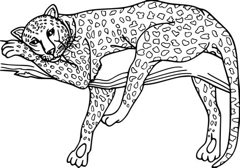 Coloriage Guepard et dessin à imprimer