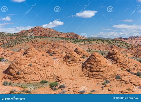 Coyote Buttes stock photo. Image of plateau, navajo, nature - 98930816