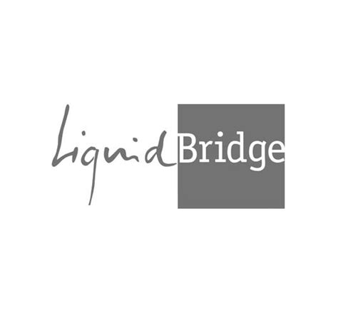 Liquid Bridge
