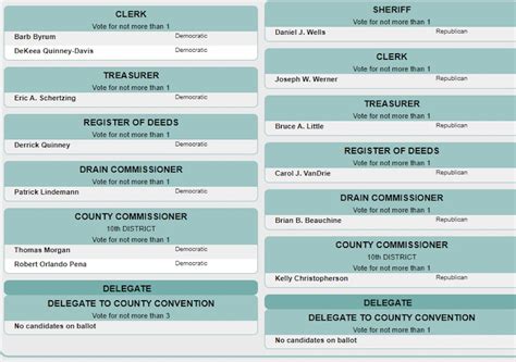 Michigan's Aug. 4 primary election: What's on the ballot? - The State News