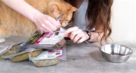 5 Best Fresh Cat Food Meal Delivery Services 2024 - Cats.com