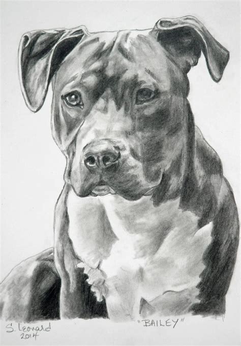 a black and white drawing of a dog