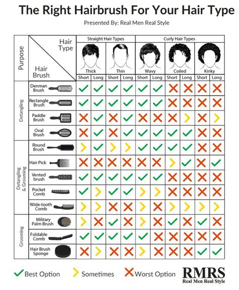 Hair Anatomy, Hair Types, and Hairbrushes Infographic