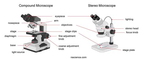 Parts Of Dissecting Microscope