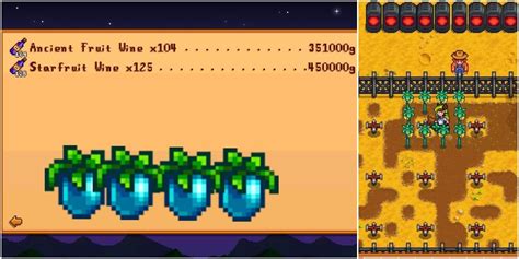 Stardew valley starfruit wine