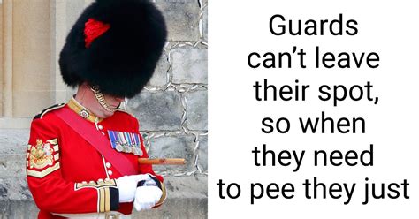 How They Relieve Themselves on Duty and 7 More Facts the Queen’s Guards Shared About Their Job ...