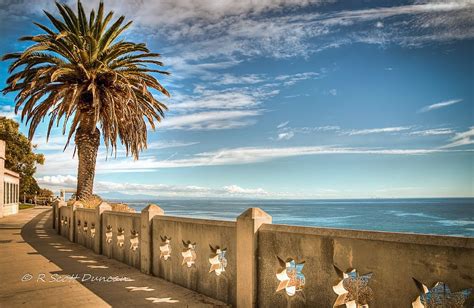 Point Fermin Park - San Pedro, California | Landscape photos, San pedro, Beach photography prints