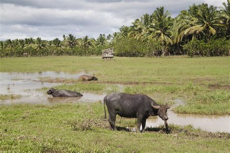 Agusan del Norte - Alchetron, The Free Social Encyclopedia