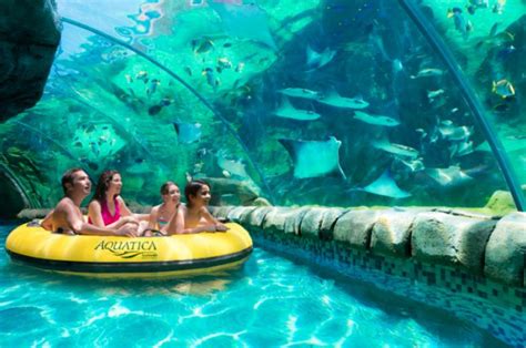 Aquatica San Antonio is an Aquarium That Doubles as a Thrilling Water Ride | Places to travel ...