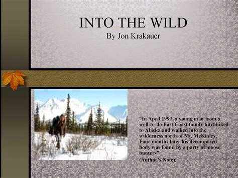 ️ Into the wild analysis. A Critical Review of Into The Wild. 2019-01-28