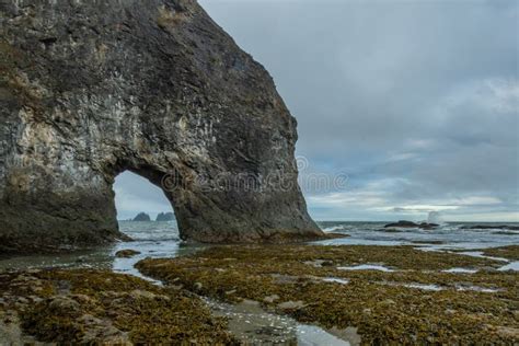 Arch in Rocks of Rialto Beach Stock Image - Image of beach, coast: 171268971