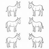 Premium Vector  Mule Coloring Page sketch template