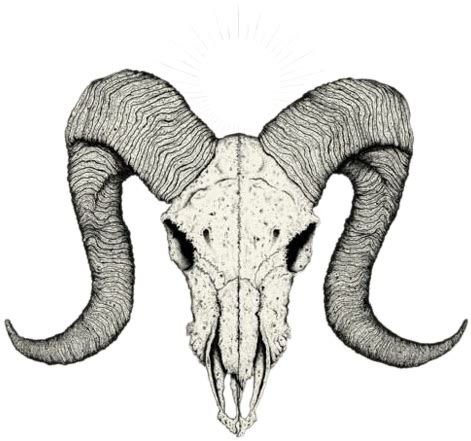 Goat Skull Drawing | Free download on ClipArtMag