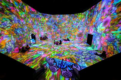 Immersive Art + Tech Experiences | ARTECHOUSE | Washington, DC