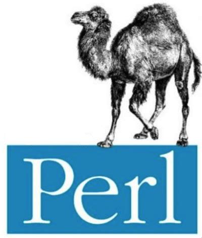 Perl Experienced Level Interview Questions - Tecinfo Systems