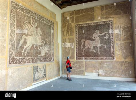 Ancient floor mosaics Rhodes archaeological museum Stock Photo - Alamy