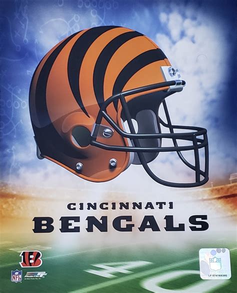 Cincinnati Bengals NFL Helmet Logo Photo - 8" x 10" - Dragon Sports