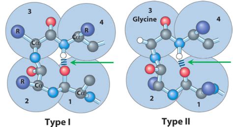 3.2 Secondary Structures | BS1005 / CM1051: Biochemistry I