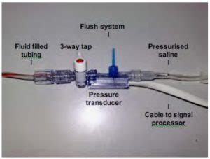 Physical Principles Of Intra-arterial Blood Pressure Measurement ...