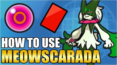 Best Meowscarada Moveset Guide - How To Use Meowscarada Competitive ...