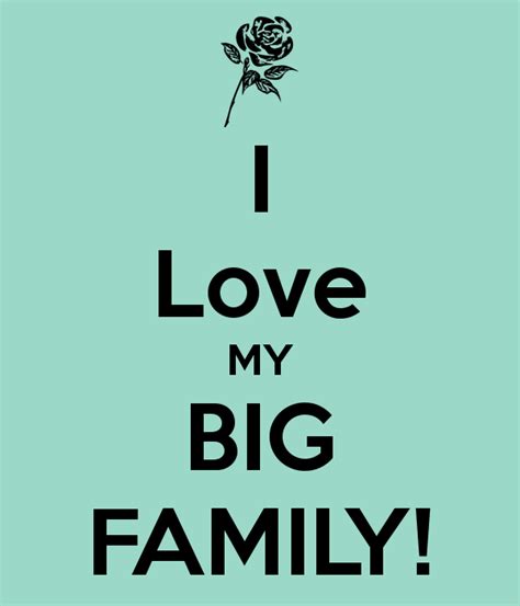 My Big Family Quotes. QuotesGram