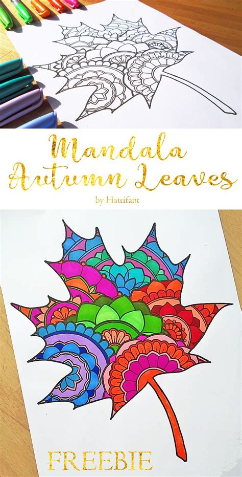 Mandala Autumn Leaf - Freebie | Fall art projects, Autumn art, Elementary art