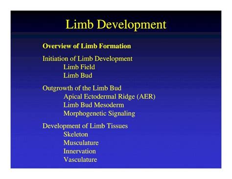 (PDF) Limb Development - DOKUMEN.TIPS