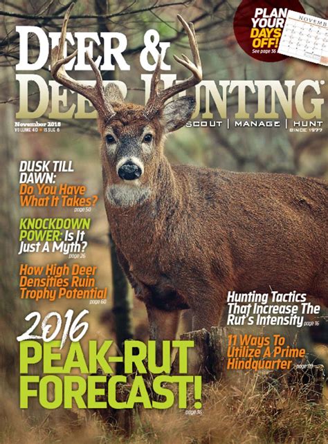 Deer & Deer Hunting Magazine | Whitetail Deer Hunting Tips - DiscountMags.com