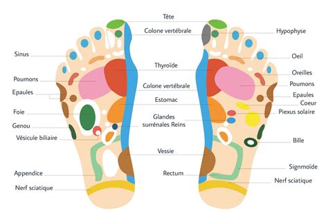 Réflexologie plantaire : auto-massage des pieds - Karl&Max – KarlandMax